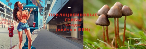 прущие крисы Богородицк