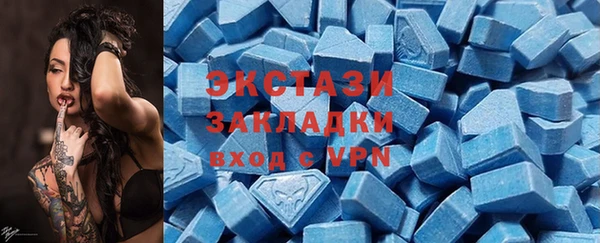 ECSTASY Богородск